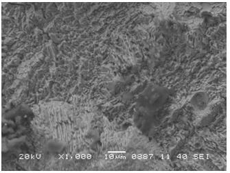 Low-temperature soldering paste added with anti-falling particles