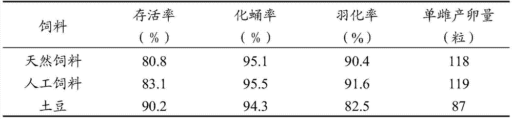 Artificial rearing method of tested Chinese chive maggot