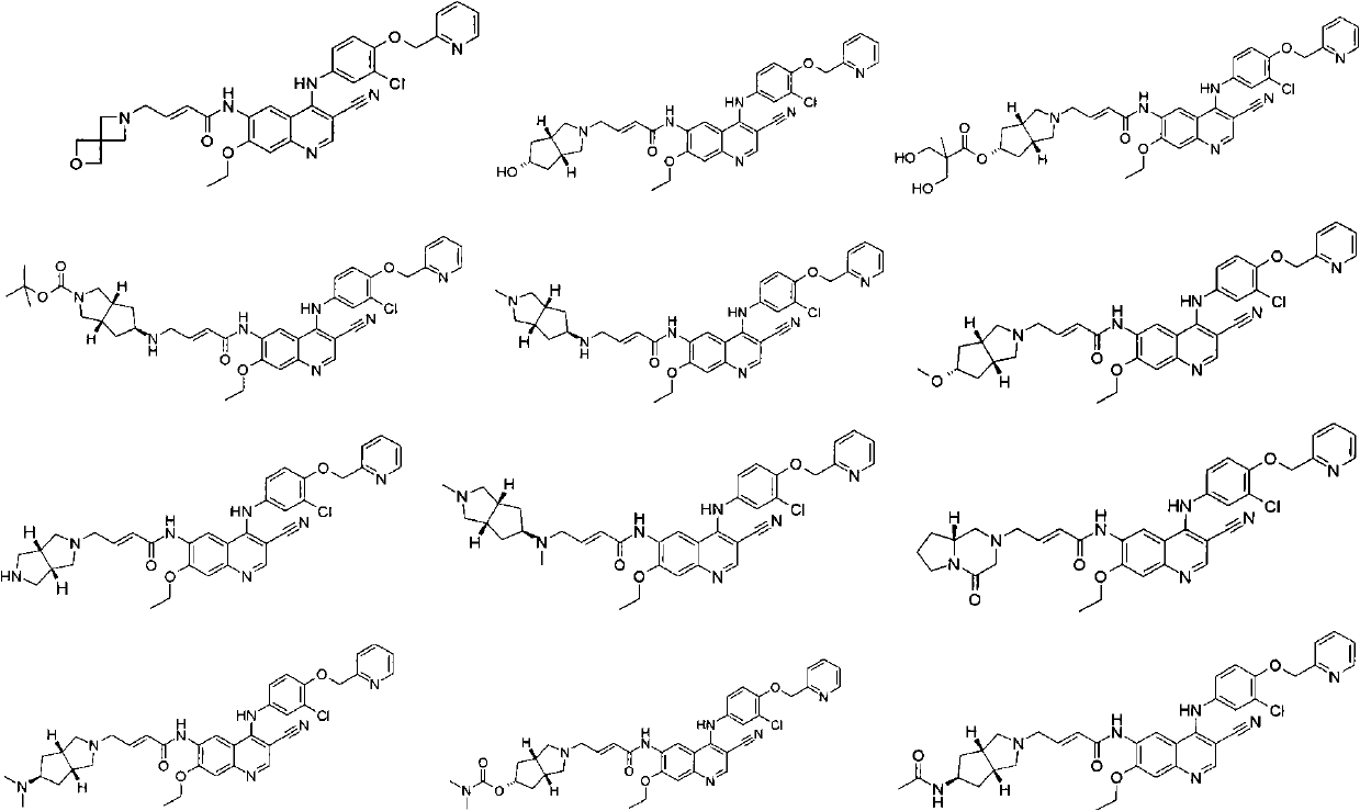 3-cyan-6-aminoquinoline derivatives, preparation method thereof and application thereof in medicines