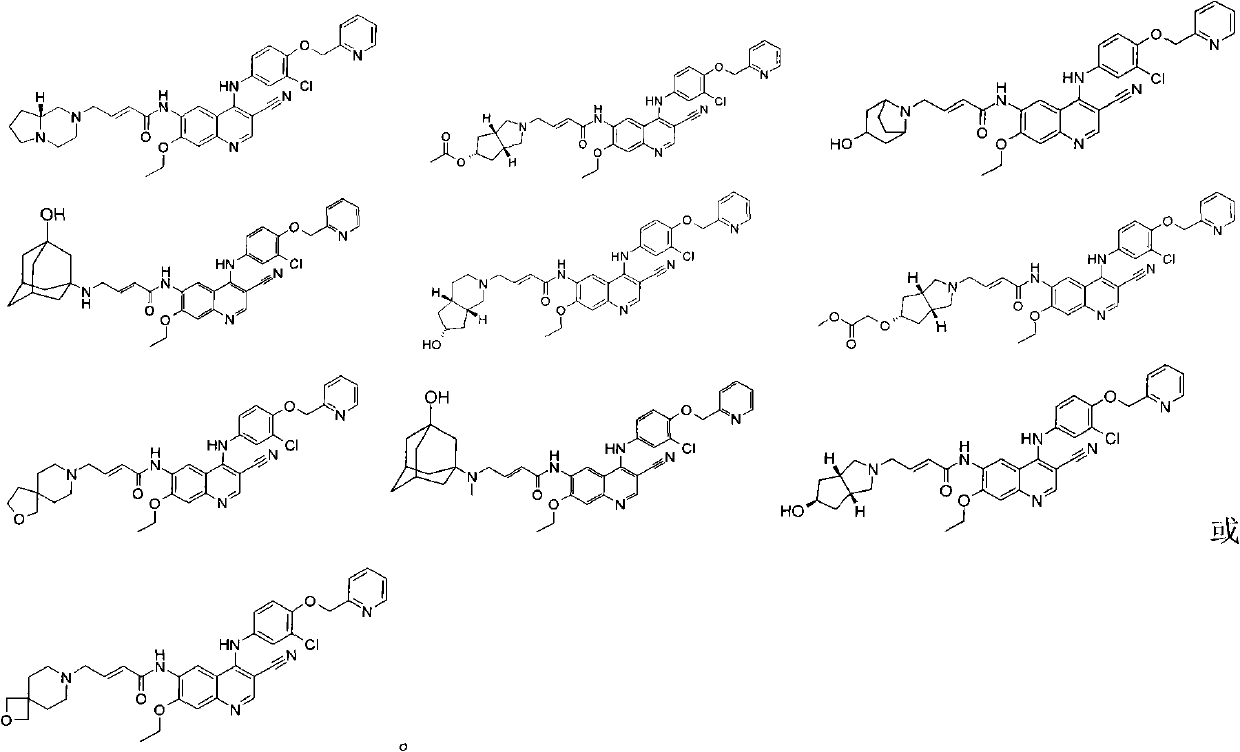 3-cyan-6-aminoquinoline derivatives, preparation method thereof and application thereof in medicines