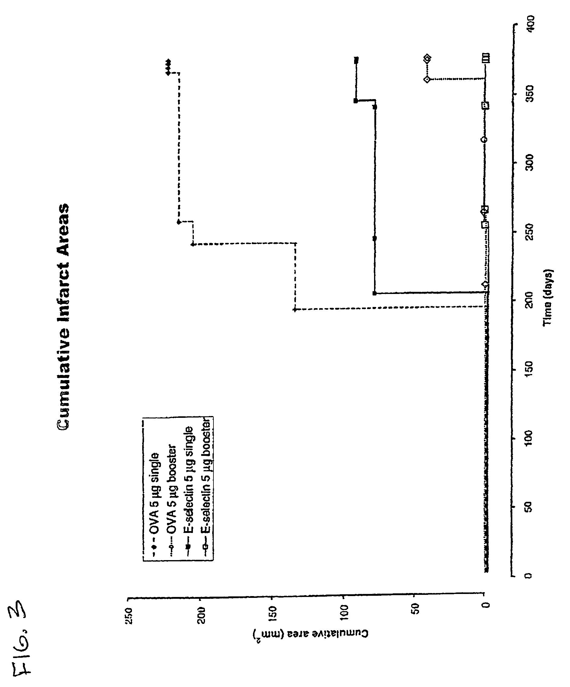 Methods for preventing strokes by inducing tolerance to e-selectin