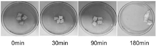 Preparation method of functional cellulose aerogel composite material loaded with TiO2 nanoparticles