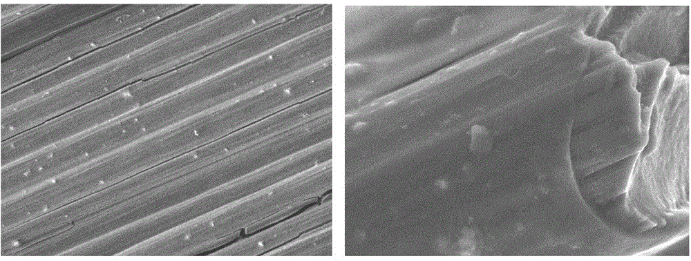 Three-dimensional carbon fiber fabric reinforced mullite ceramic and preparation method thereof