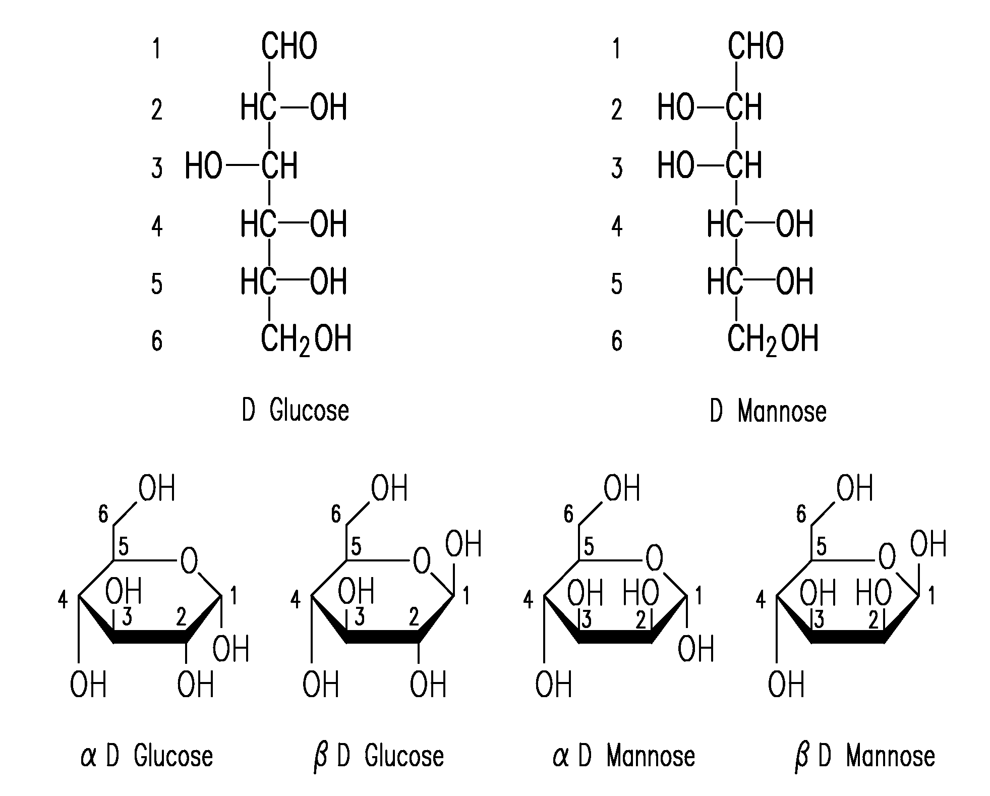 Processes And Systems For Enzymatically Isolating Lignin And Other Bioproducts From Herbaceous Plants