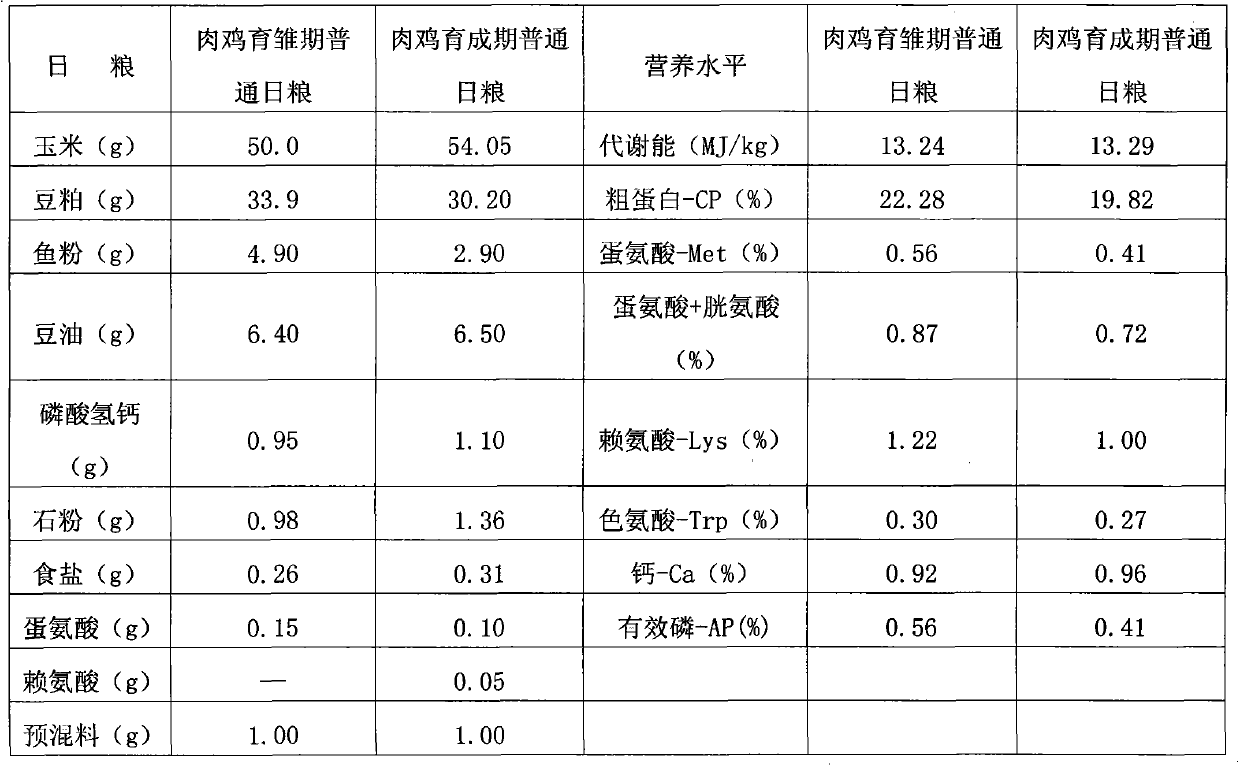 Complex microbial inoculant for broiler chickens and application thereof to improvement of broiler chicken productivity and immunity