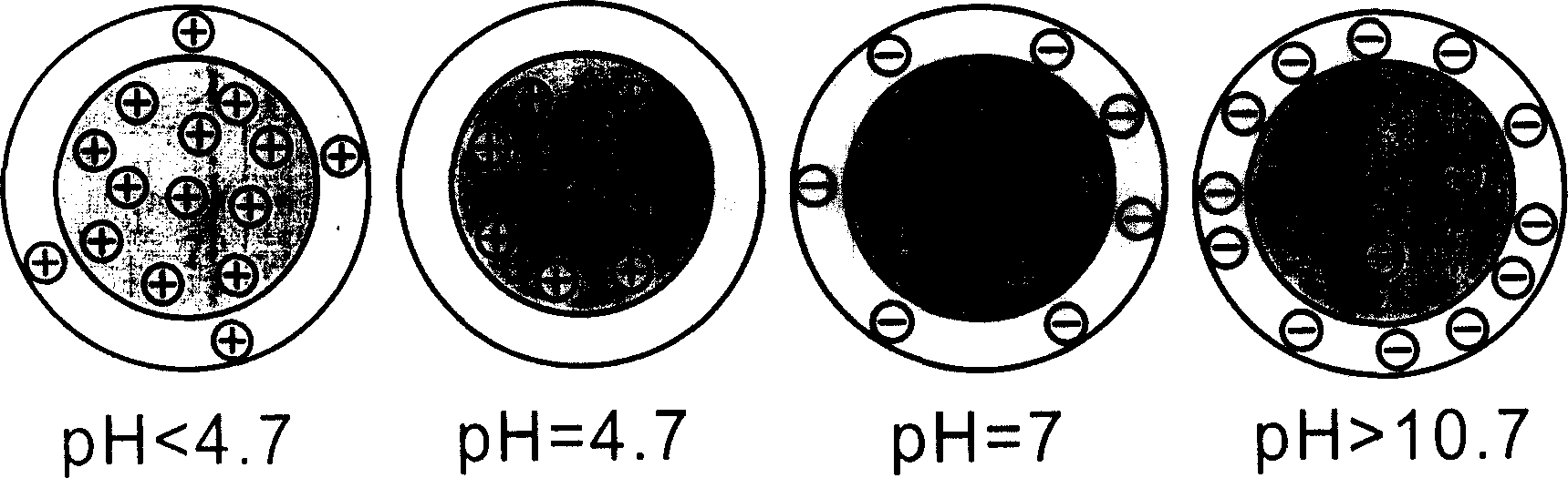 Nano microgel and its preparing process and use