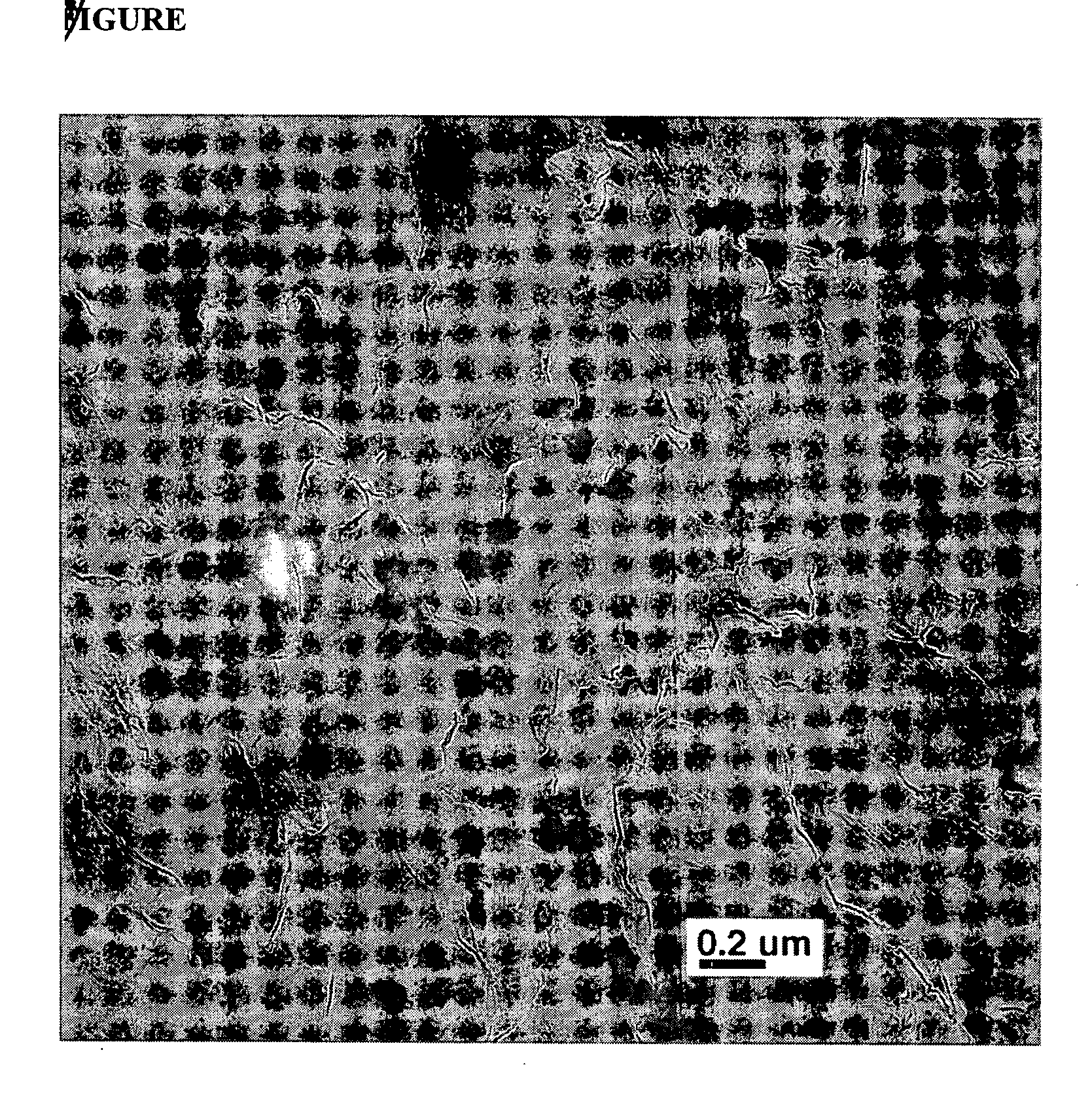 Polymers of macrocyclic oligomers containing highly expanded graphite