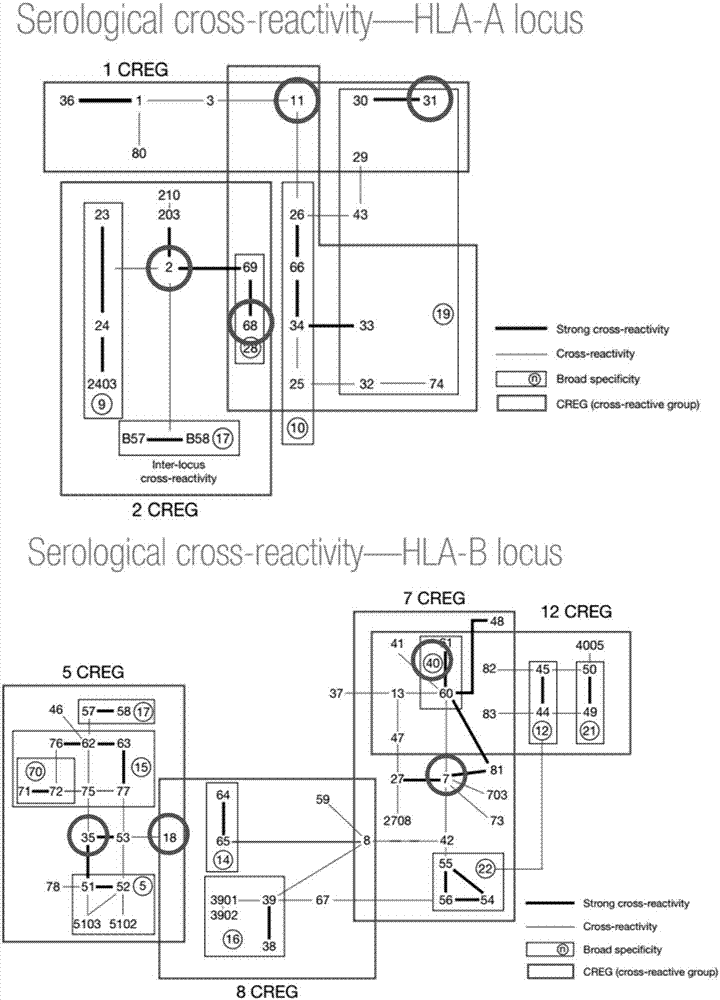 Blood platelet antibody specificity identification method and kit thereof