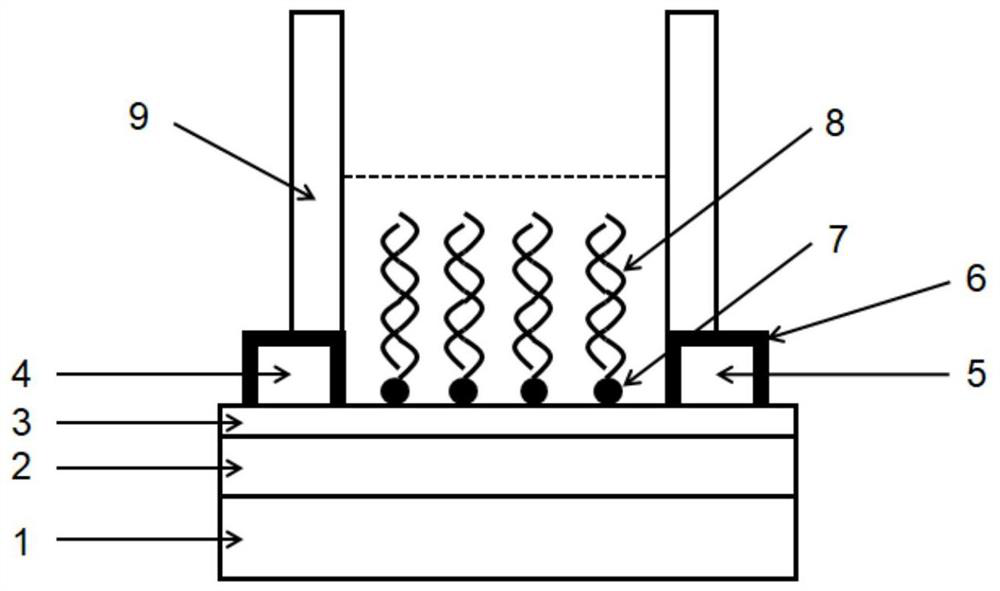 Nucleic acid micro-damage detection method based on field effect transistor and biosensor