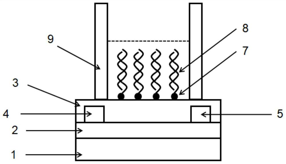 Nucleic acid micro-damage detection method based on field effect transistor and biosensor