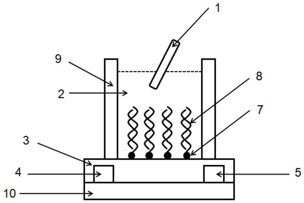 Nucleic acid micro-damage detection method based on field effect transistor and biosensor