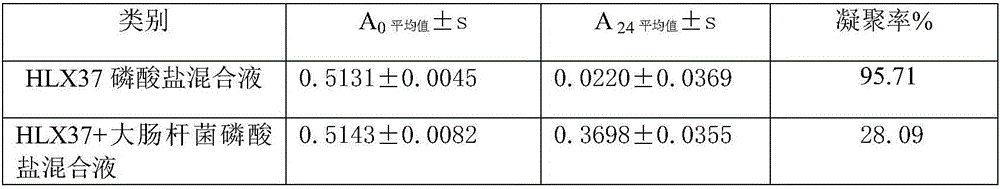 Probiotic bee pollen and preparation method thereof