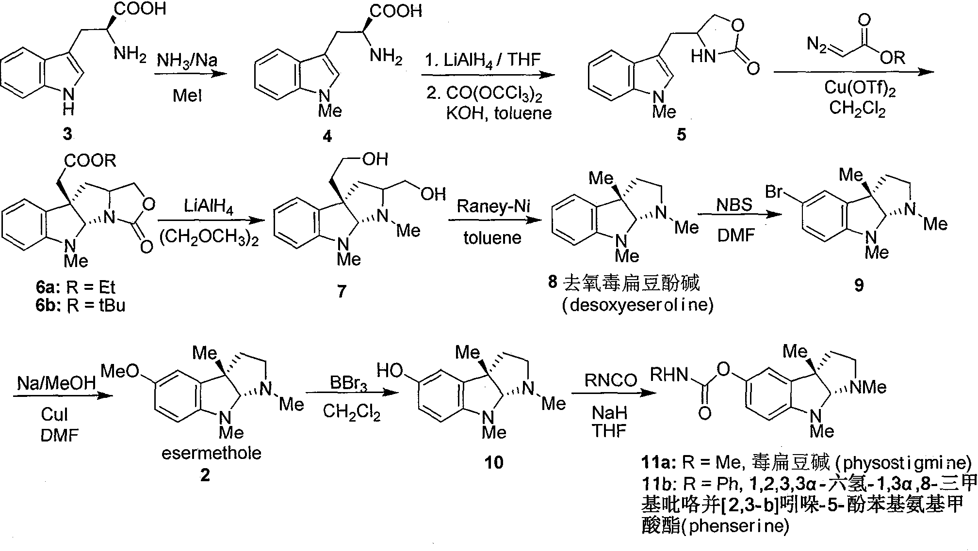 Synthesis for natural medicament physostigmine for resisting senile dementia disease and phenylaminoformic acid ester phenserine