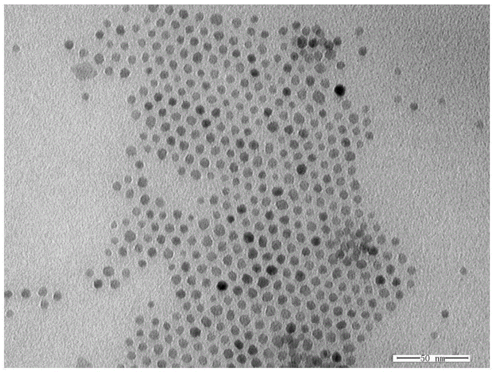 Oil soluble nanometer scintillation crystal and preparation method thereof