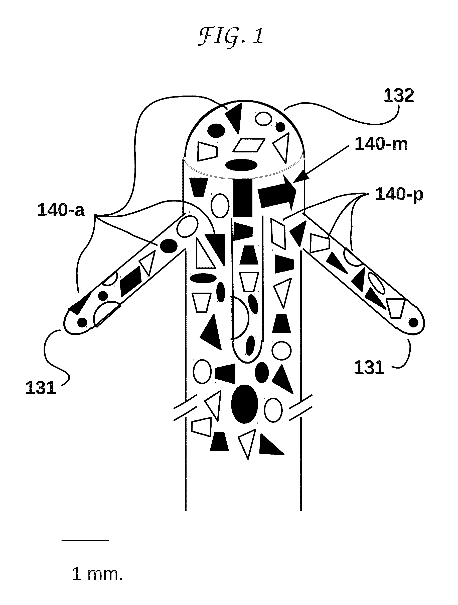 Animal and plant cell electric stimulator with randomized spatial distribution of electrodes for both current injection and for electric field shaping