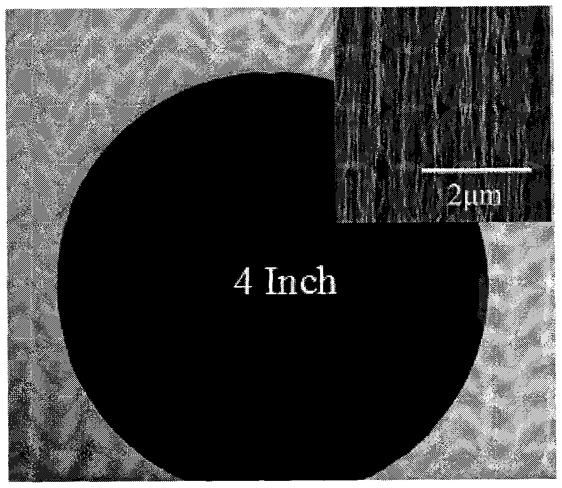 Preparation method of carbon nano tube array for spinning