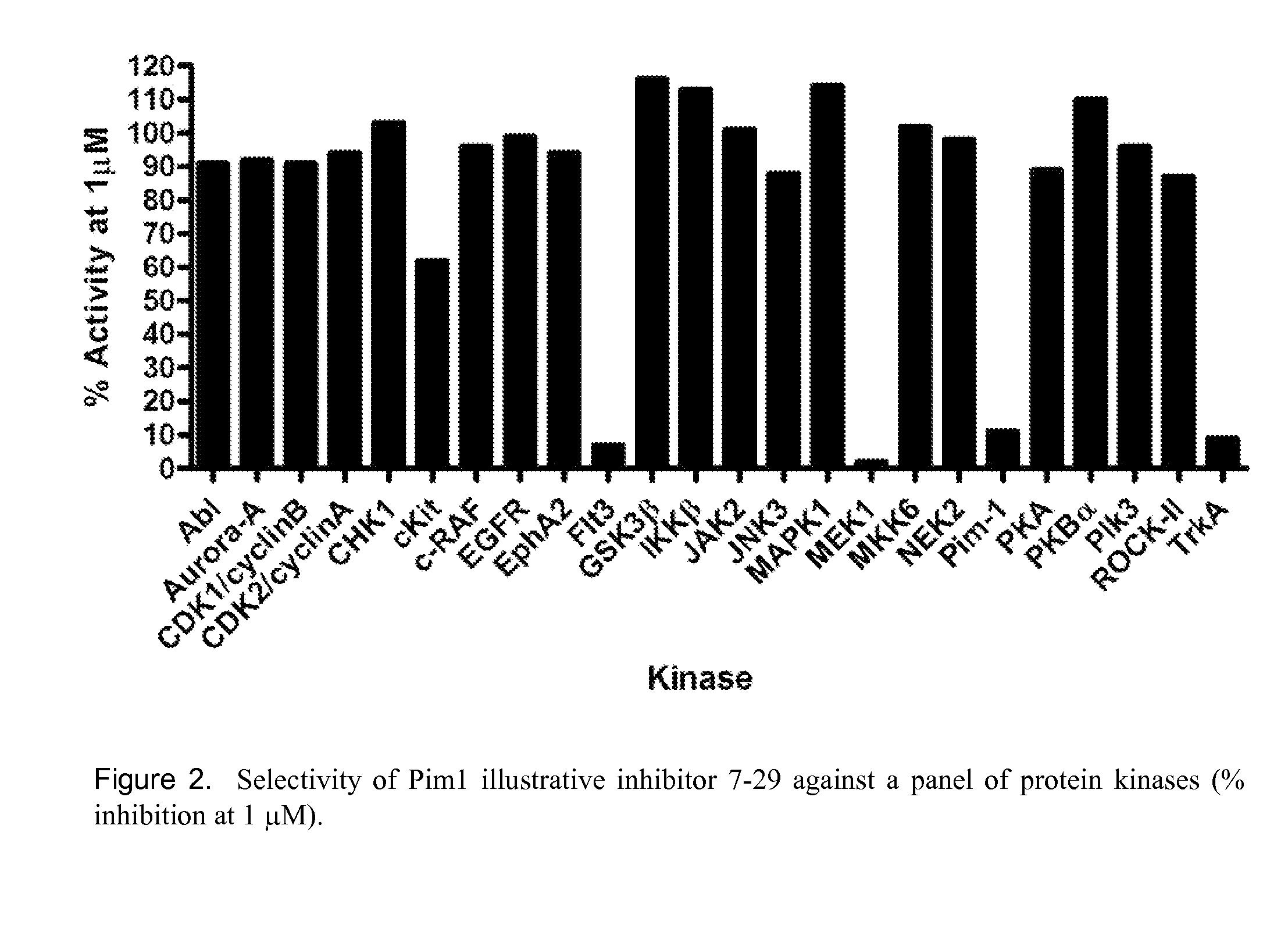 Imidazo[1,2-beta]pyridazine and pyrazolo[1,5-alpha]pyrimidine derivatives and their use as protein kinase inhibitors