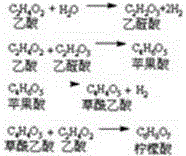 Multifunctional enzyme vinegar