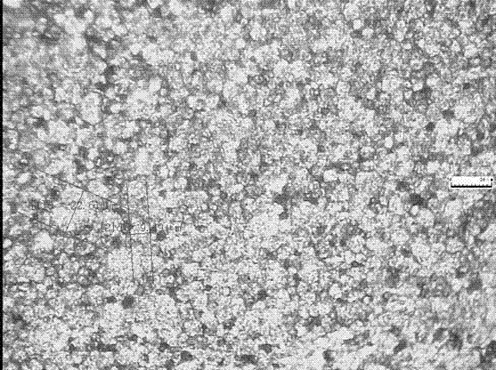 Neodymium iron boron metallographic analysis sample preparation method