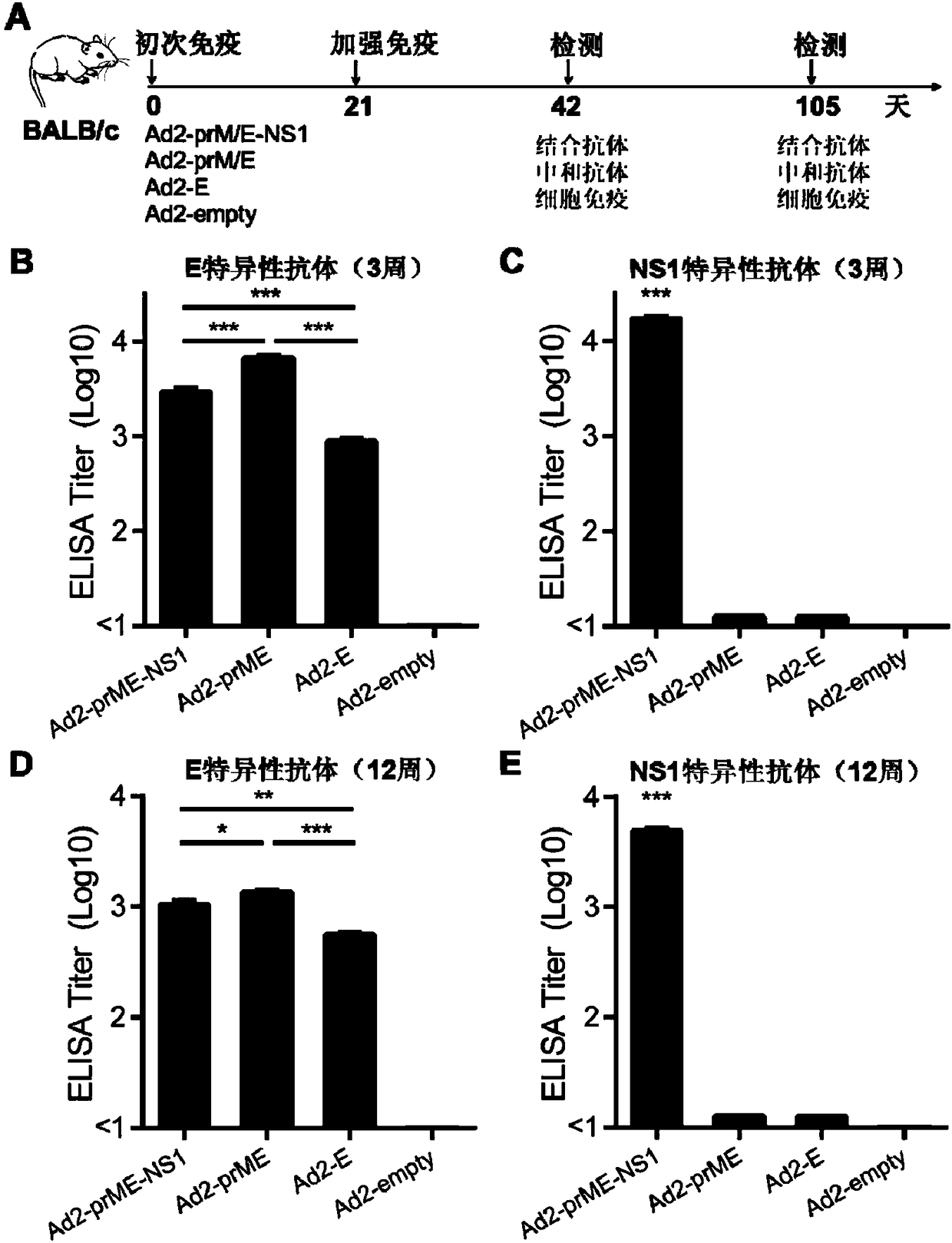 ZIKV (zika virus) vaccine and preparation method thereof