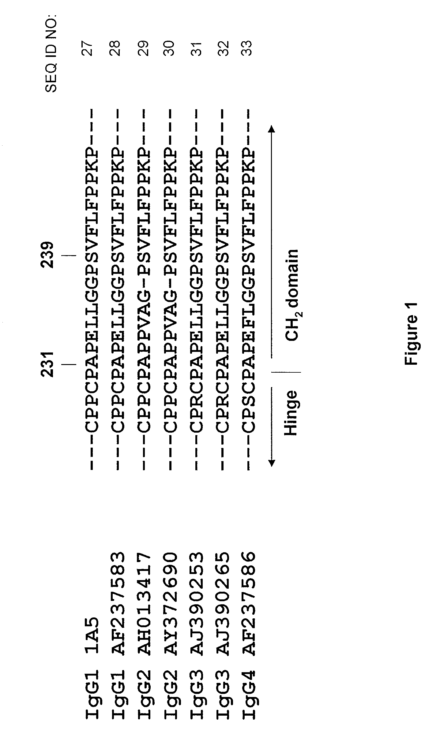 Monoclonal antibodies against dengue and other viruses with deletion in Fc region