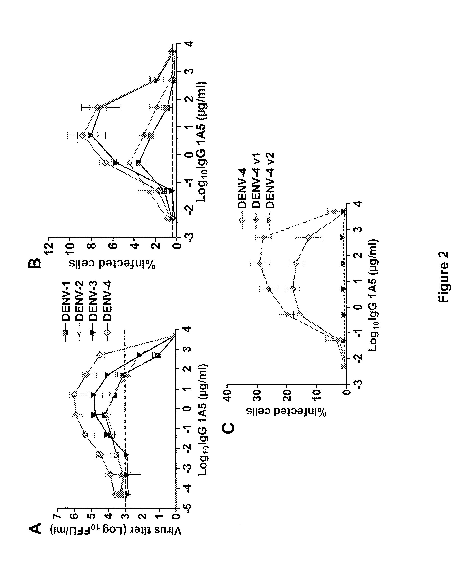 Monoclonal antibodies against dengue and other viruses with deletion in Fc region