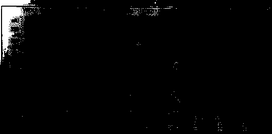 Production method suitable for enzymatic synthesis of sitagliptin phosphate