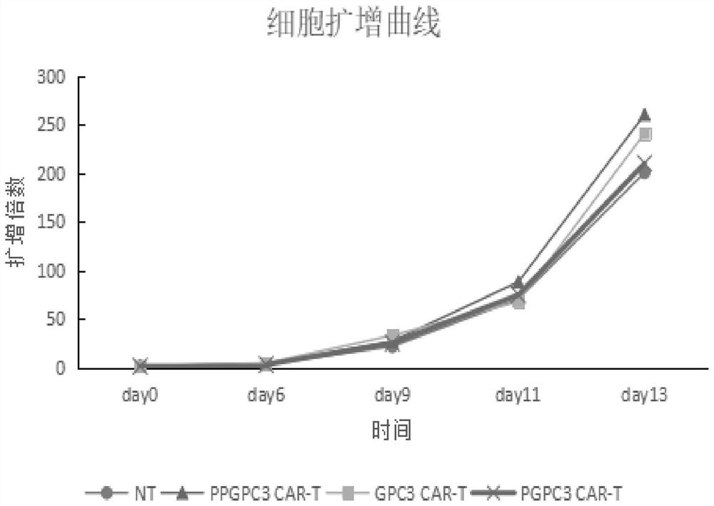 PTPN2-blocked immune cell and application and preparation thereof