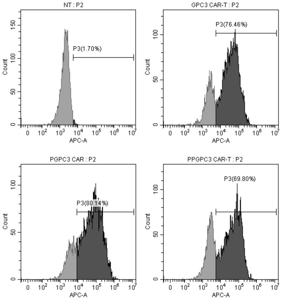 PTPN2-blocked immune cell and application and preparation thereof