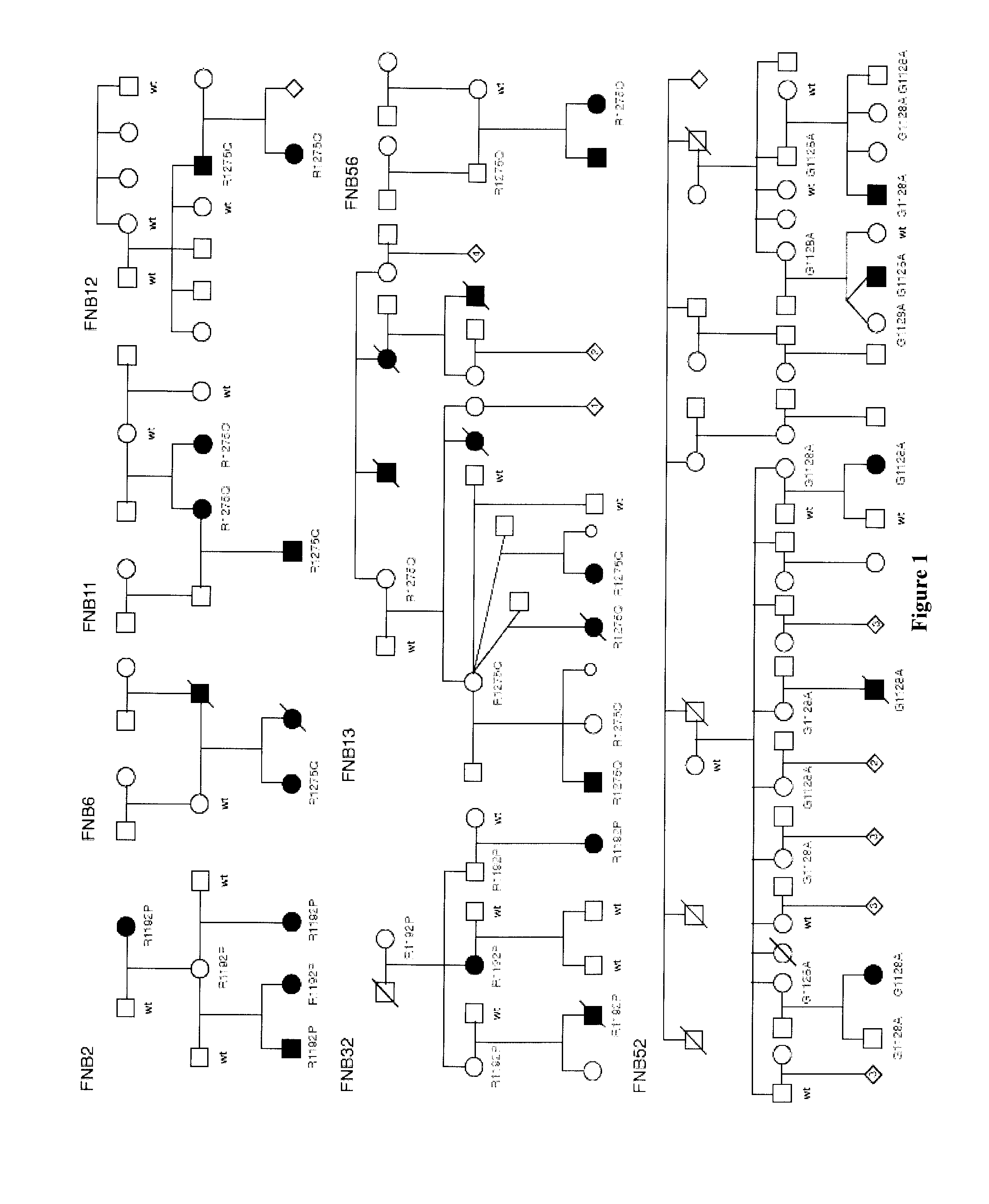 Methods and Compositions for Treating Neuroblastoma