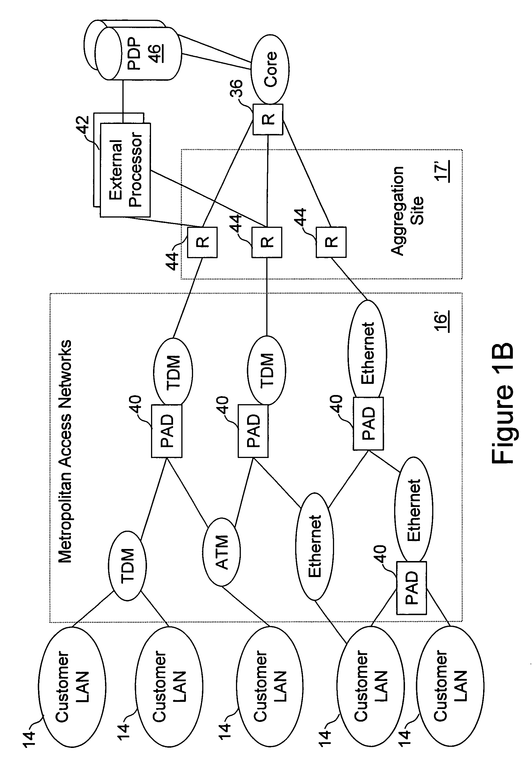 External processor for a distributed network access system