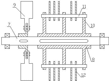 Special daily ration for lean brood sow and fabrication method thereof