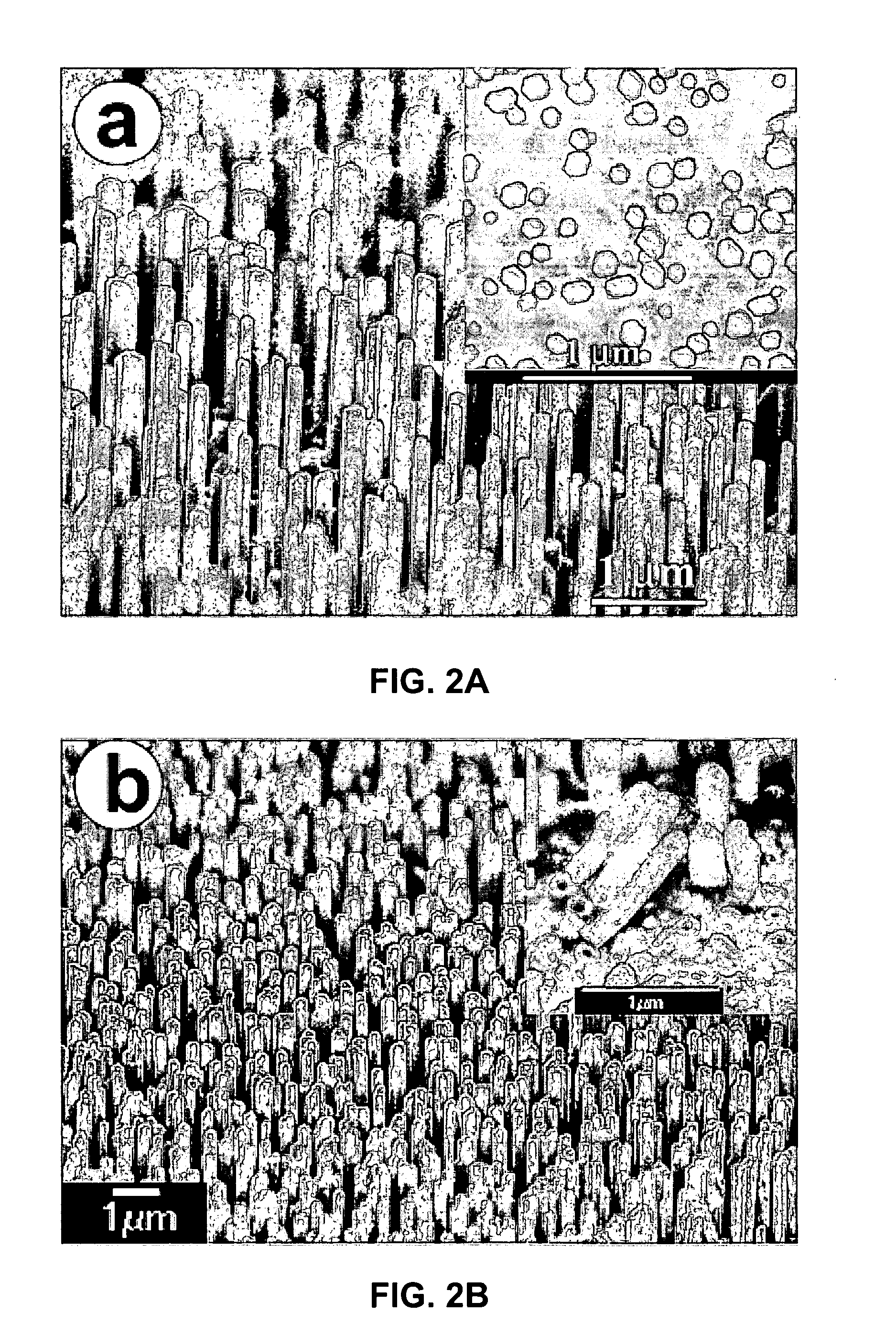 Sacrificial template method of fabricating a nanotube