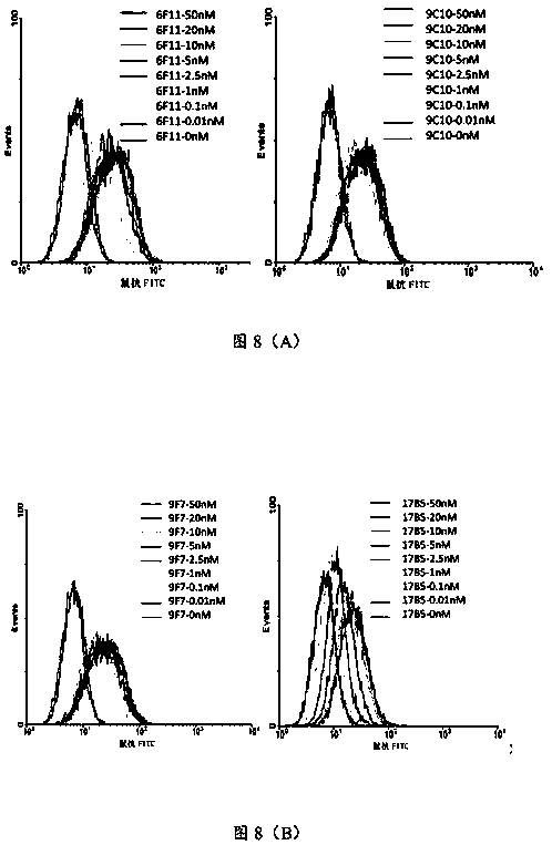 Monoclonal Antibodies and Their Applications