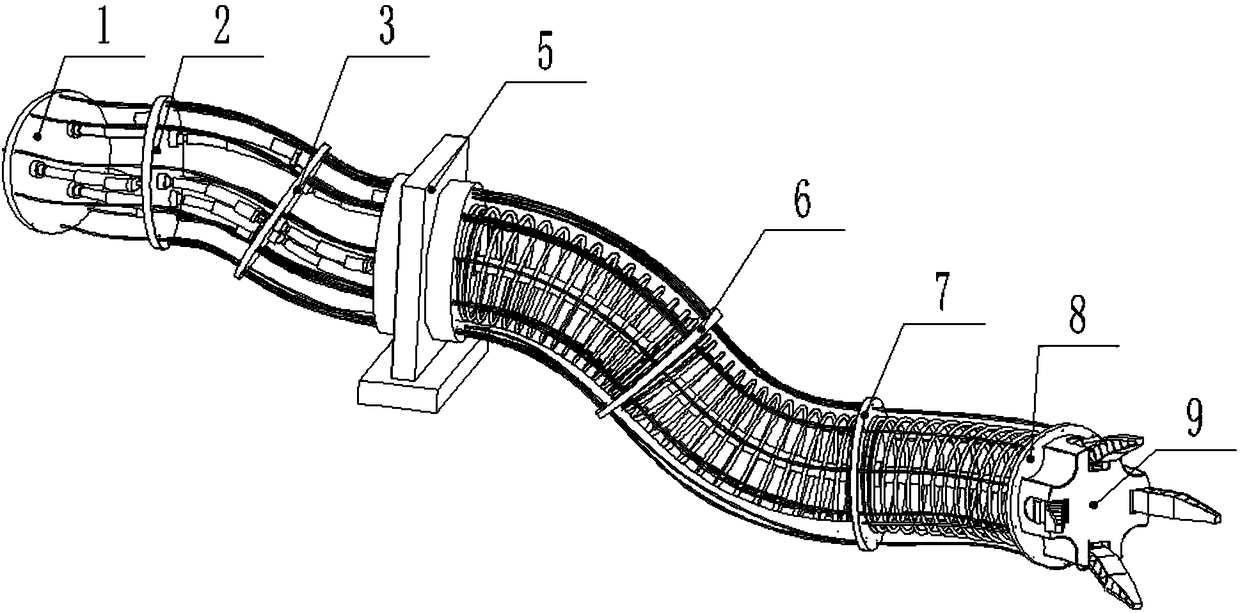 Successive type robot oriented to large loads