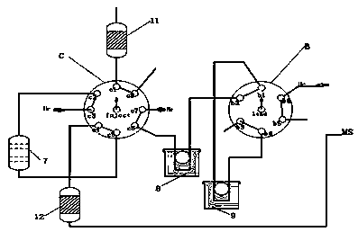 Enrichment analyzer for carbon and hydrogen elements in greenhouse gas CH4