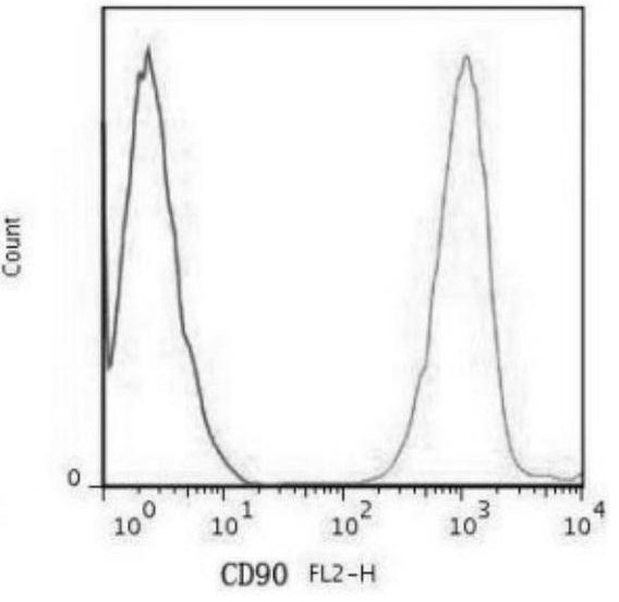 Mesenchymal stem cell subculture method