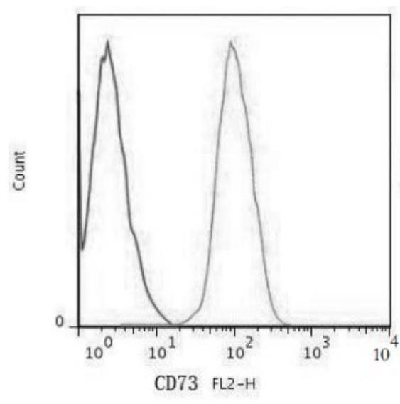 Mesenchymal stem cell subculture method