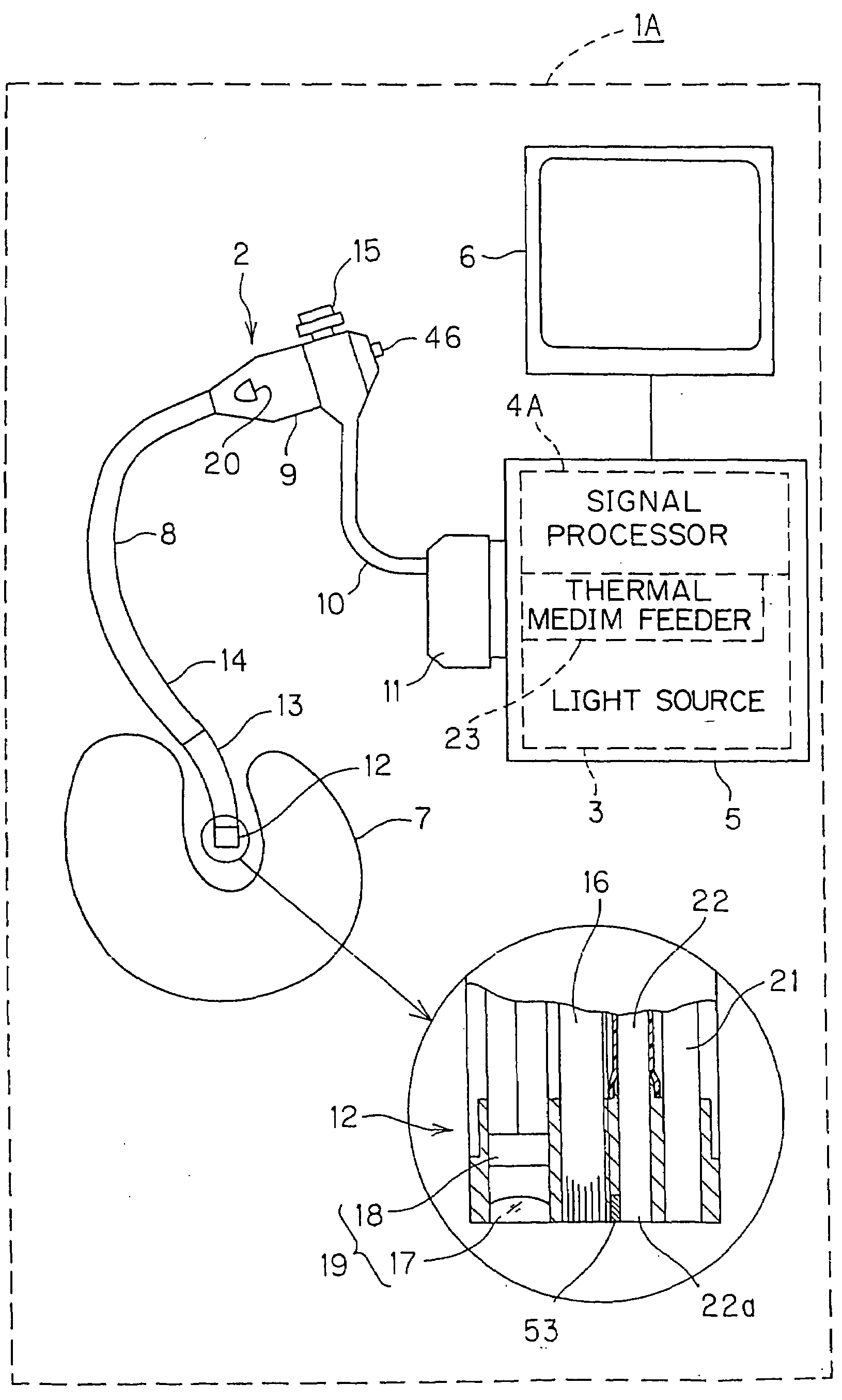 Endoscope, endoscopic apparatus, and  examination method using endoscope