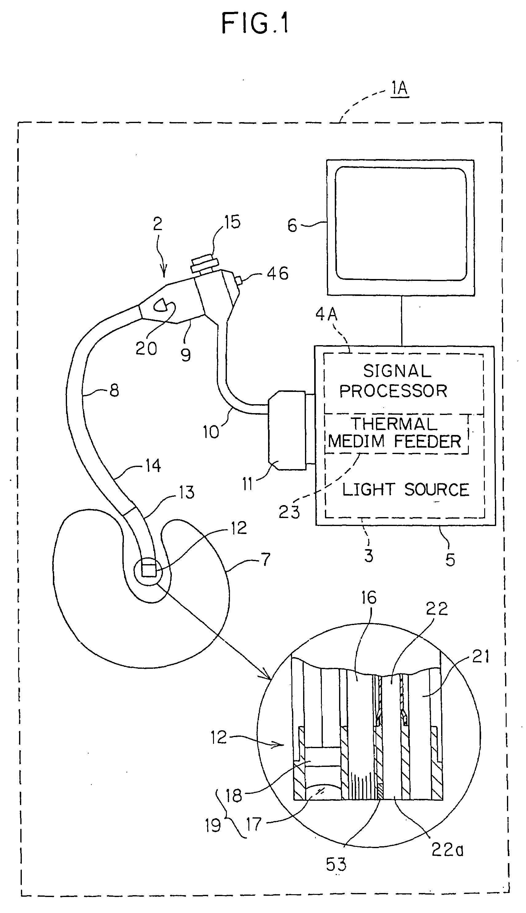 Endoscope, endoscopic apparatus, and  examination method using endoscope