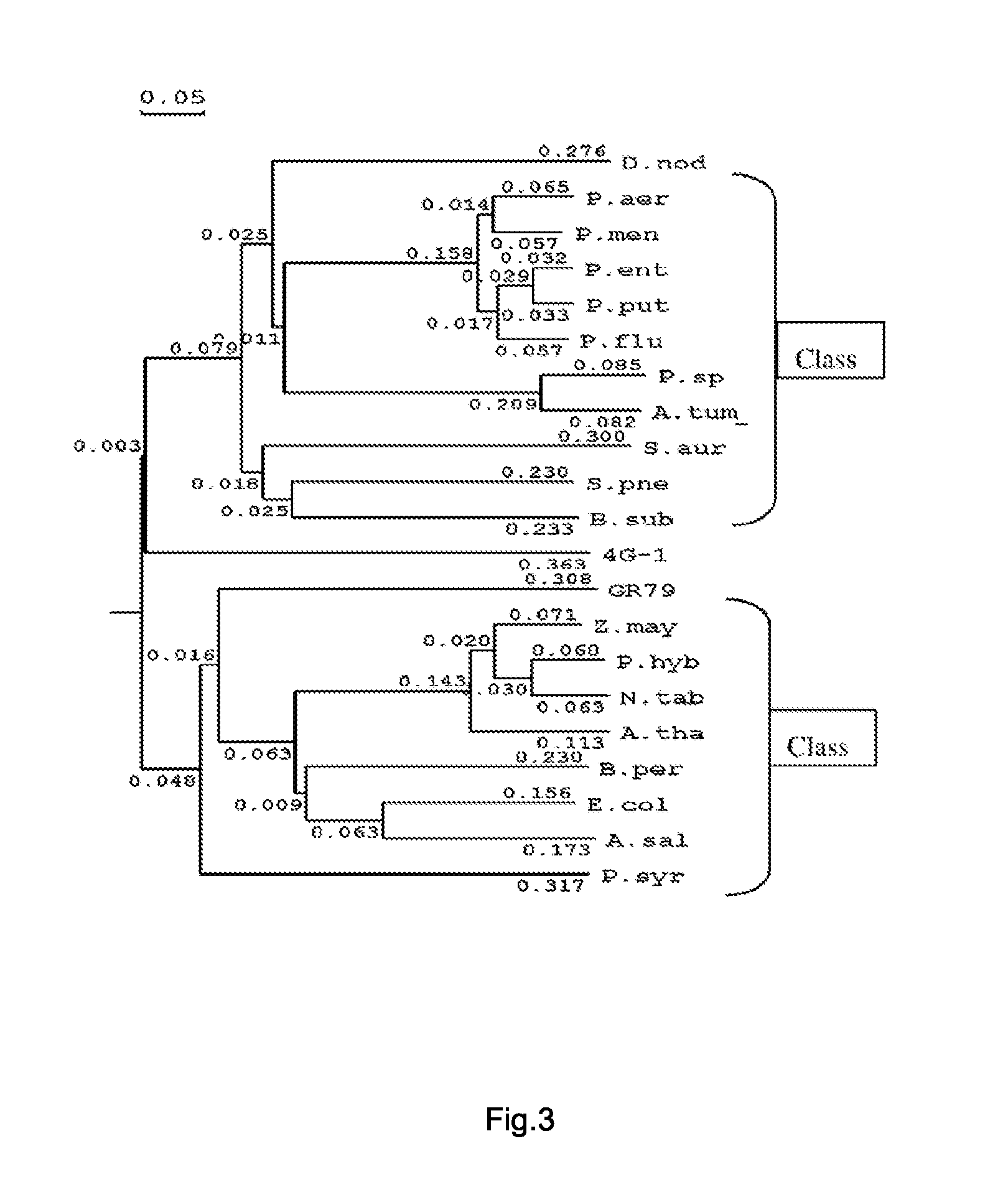 EPSP synthase with high glyphosate resistance and its encoded sequence