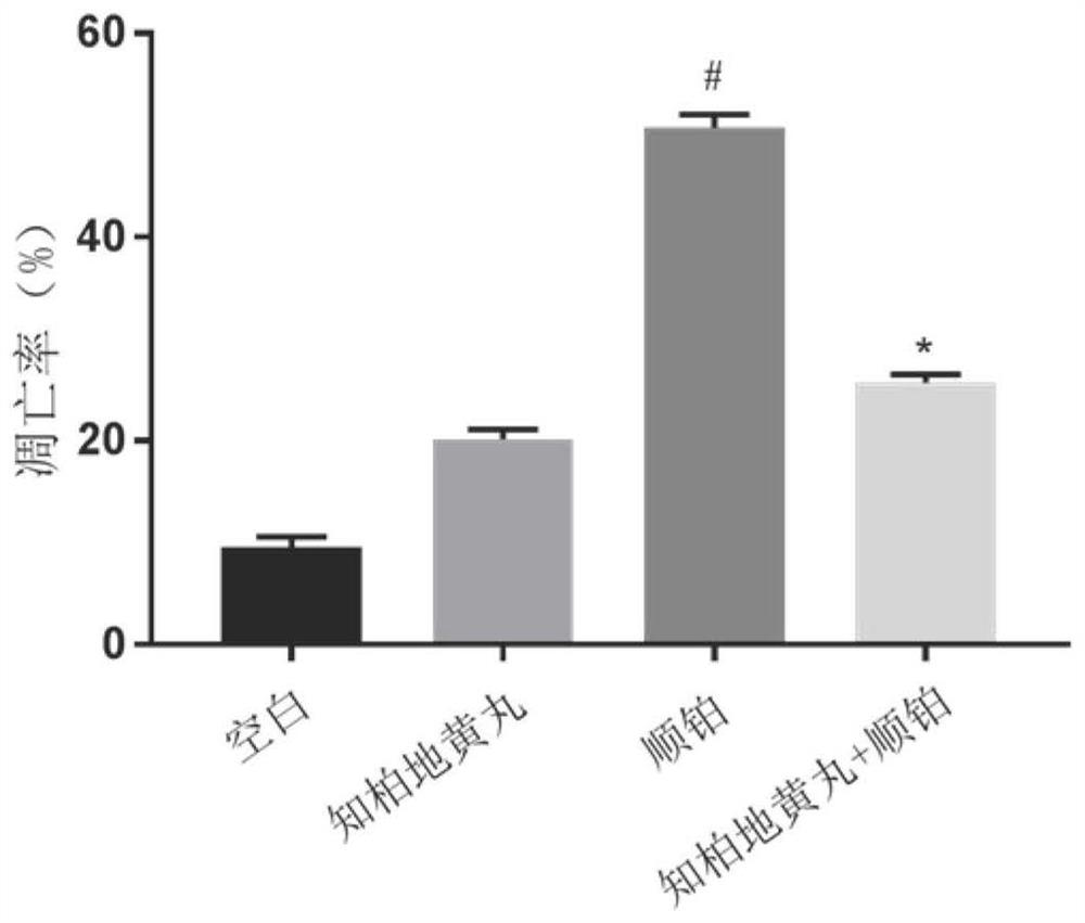 Application of Zhibai Dihuang pill as or in preparation of medicine for preventing and treating cisplatin acute kidney injury