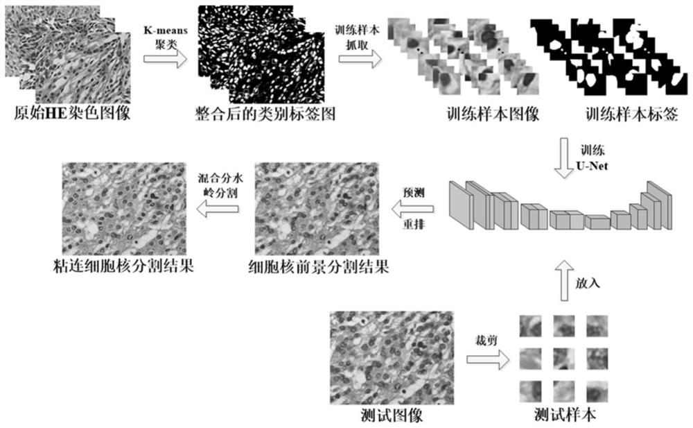 Hematoxylin-eosin staining pathological image segmentation method based on unsupervised deep learning