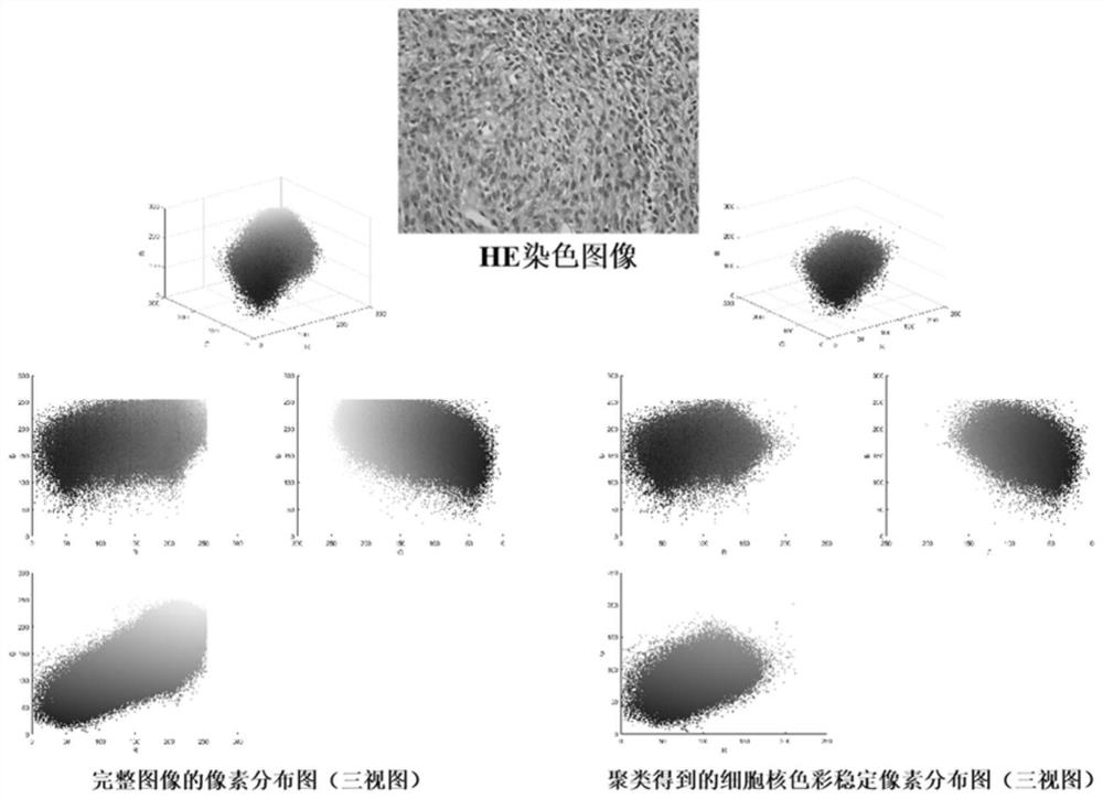 Hematoxylin-eosin staining pathological image segmentation method based on unsupervised deep learning