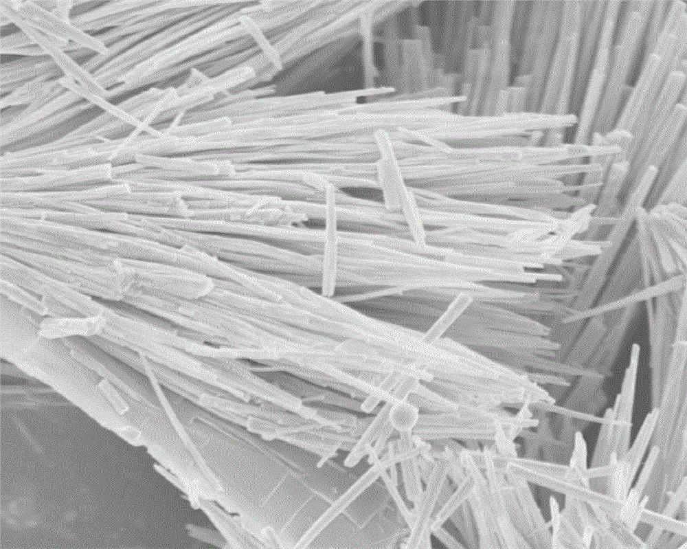 Method for doping Co3O4 nanowire with Sn