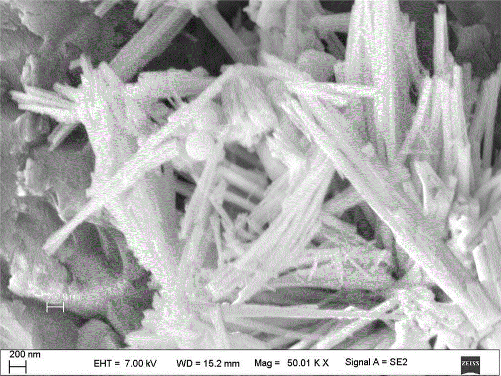 Method for doping Co3O4 nanowire with Sn