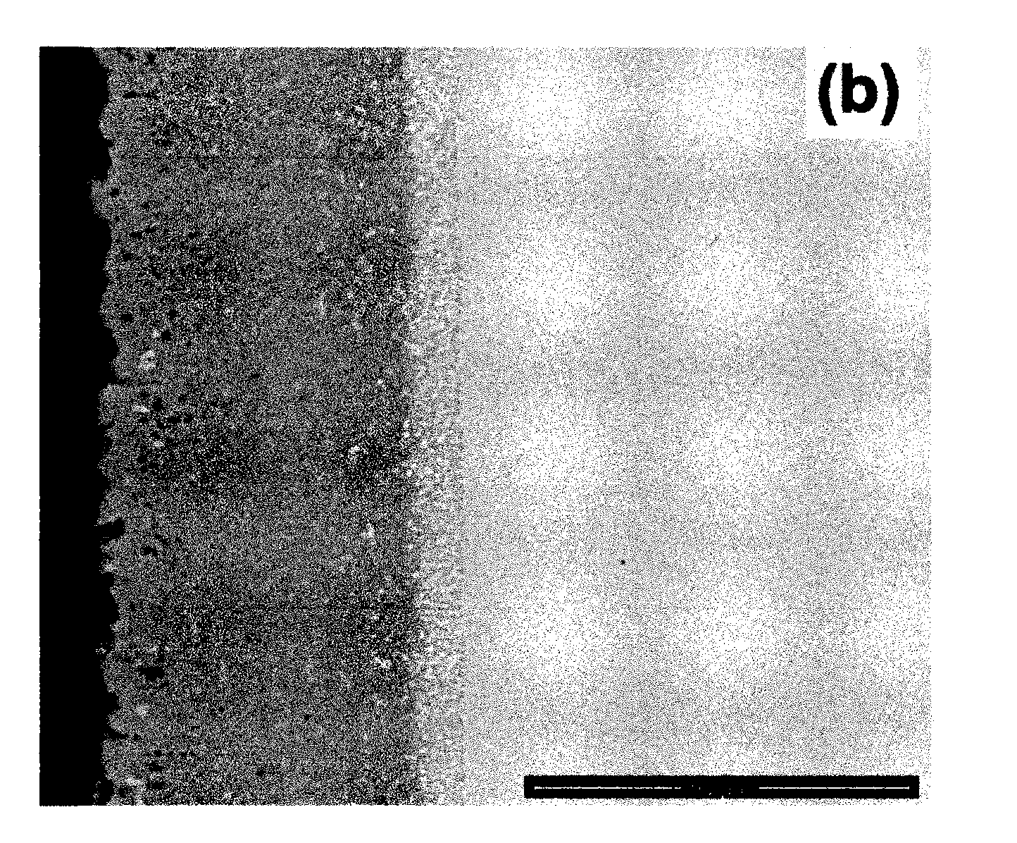 NiCrAIY coating for nickel base high temperature alloy and preparation method thereof