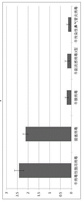 Polypeptide sequence combined with bovine viral diarrhea E2 protein and application of polypeptide sequence