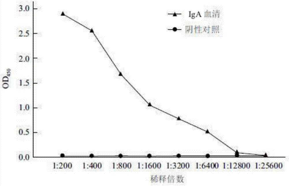 Seasonal influenza-RSV combined vaccine and preparation method and application thereof