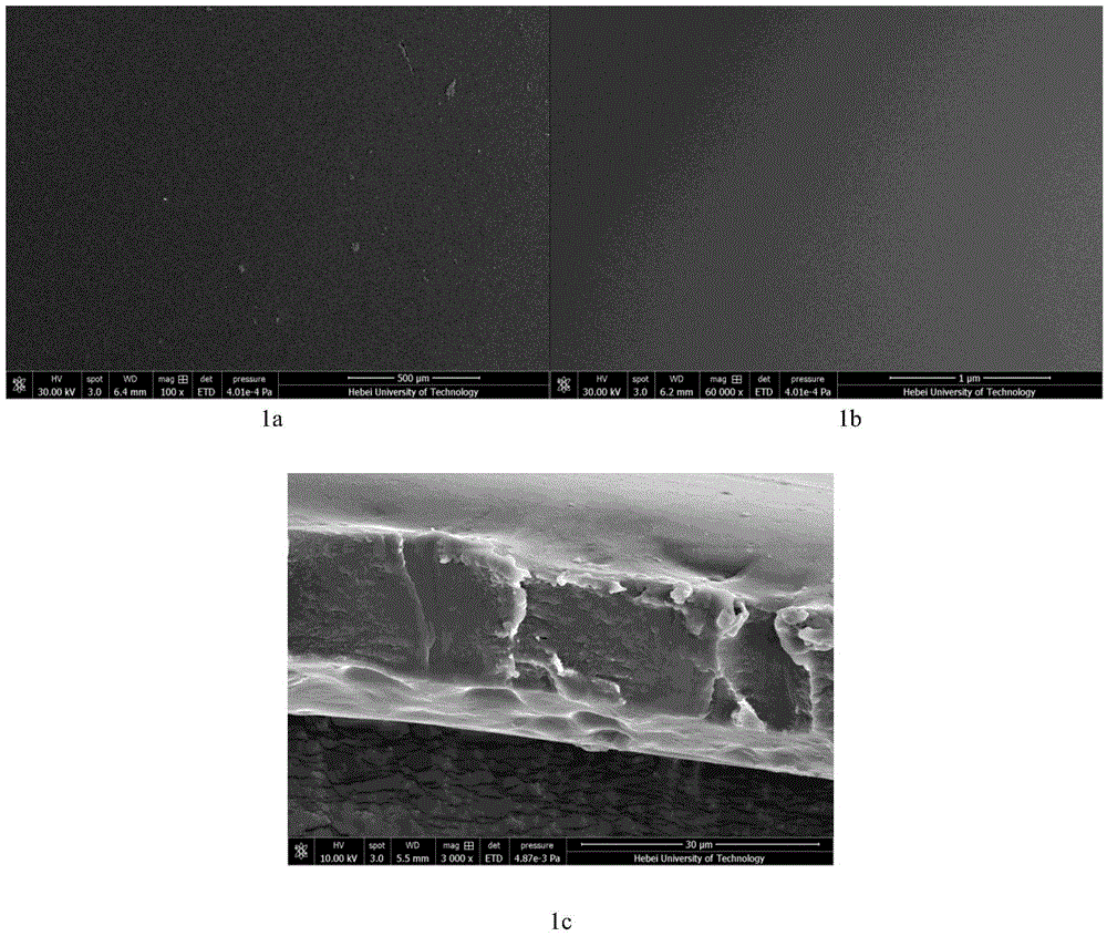 A flexible rare earth transparent luminescent film and its preparation method